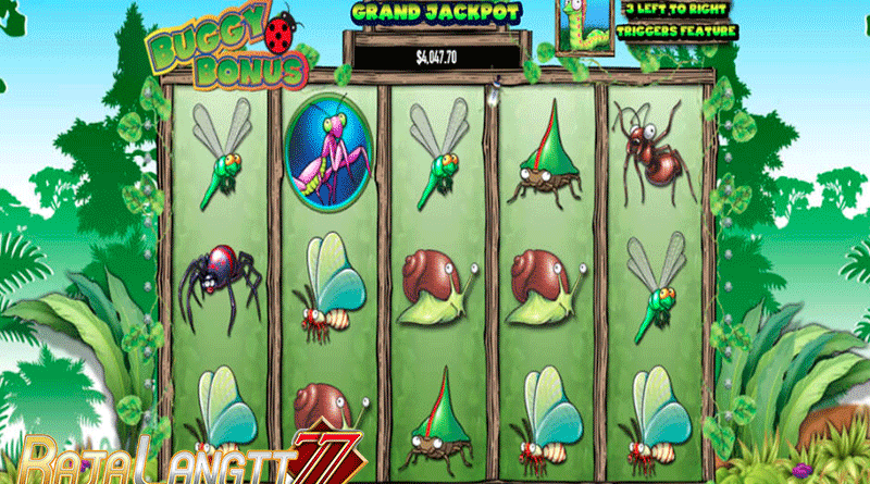 Panduan bermain agar mencapai hasil di Game Buggy Bonus